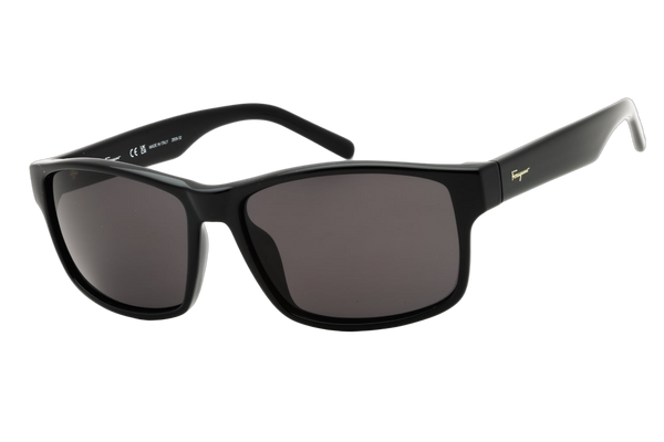 Ferragamo SF960S Injected propionate frame sunglasses in black
