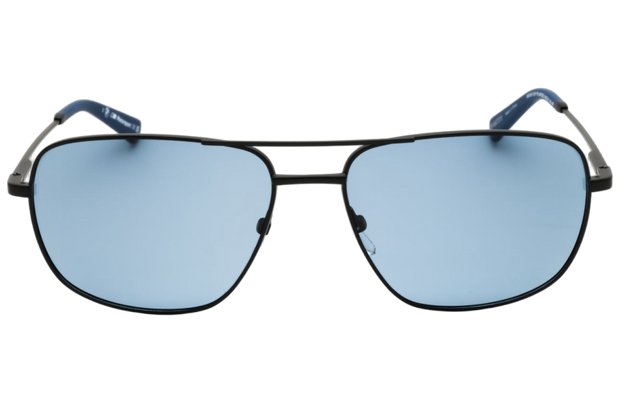 Bmw BS002602M sunglasses in black