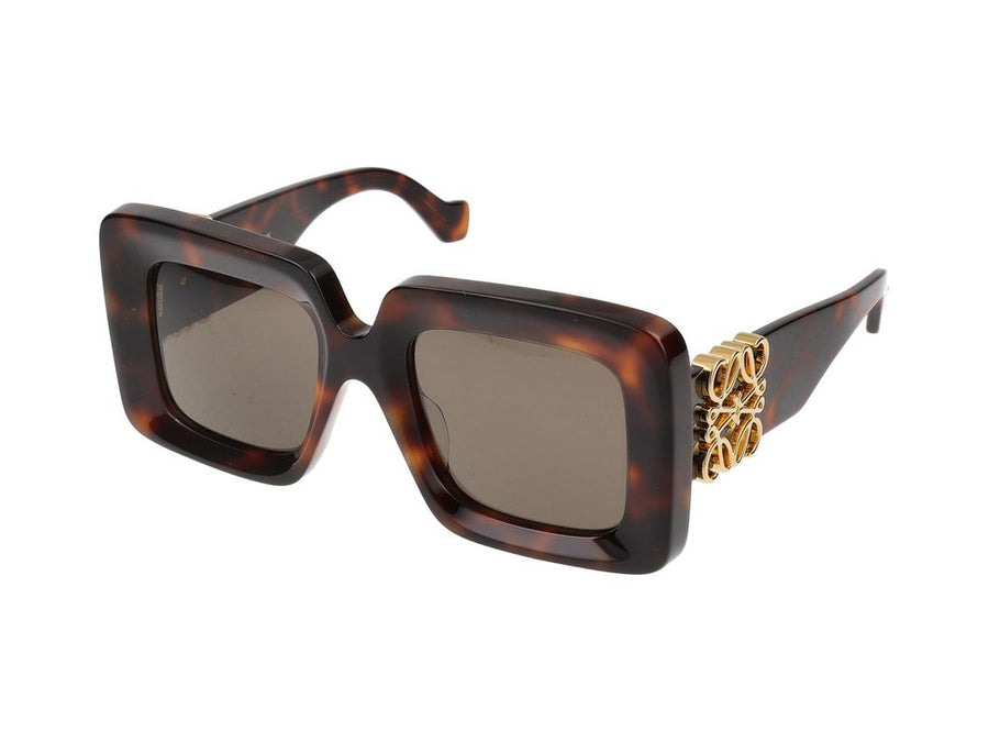 Loewe LW40176U sunglasses in tortoiseshell