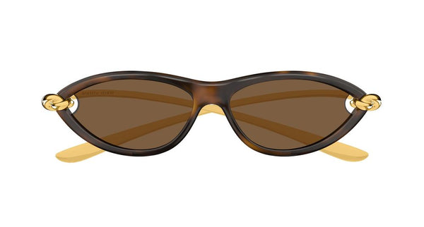 Bottega Veneta BV1390S Injection plastic frame sunglasses in brown