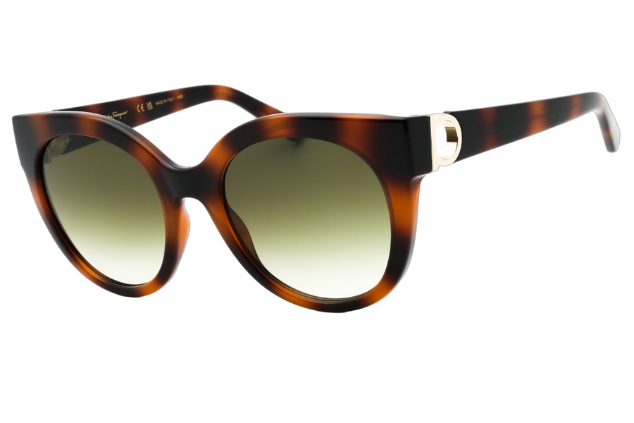 Ferragamo sunglasses in tortoiseshell