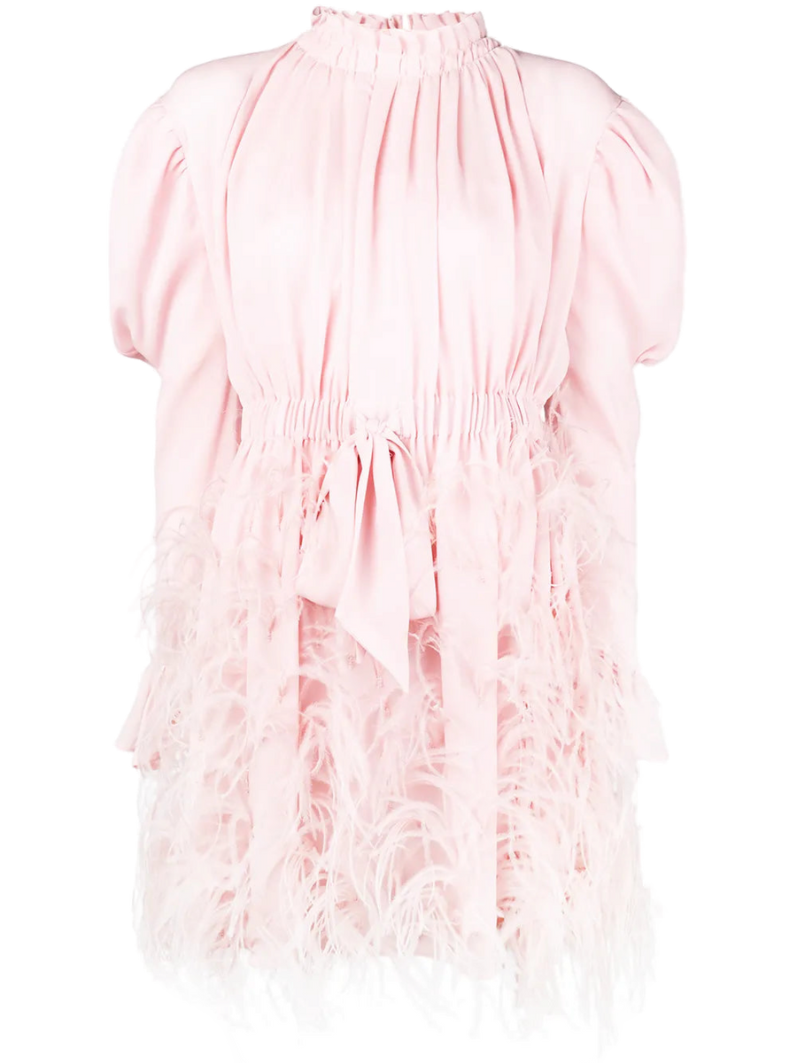 Valentino Silk and ostrich feather dress in pink