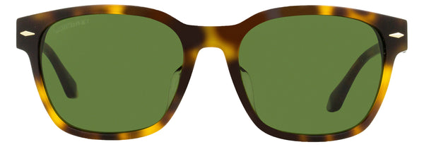 Longines LG0015H Acetate frame sunglasses in brown