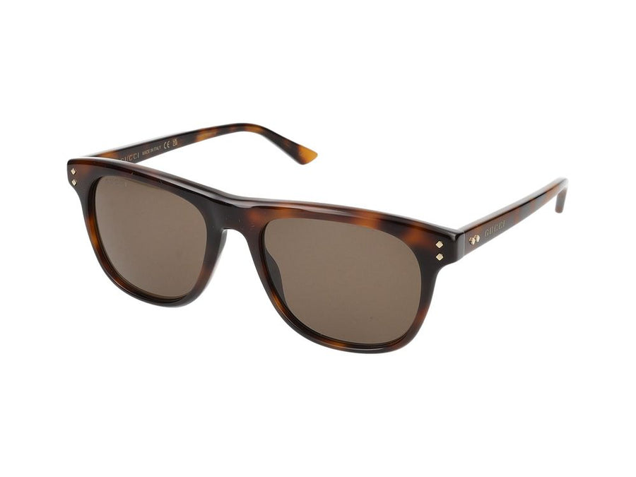 Gucci GG1893S Acetate sunglasses in havana
