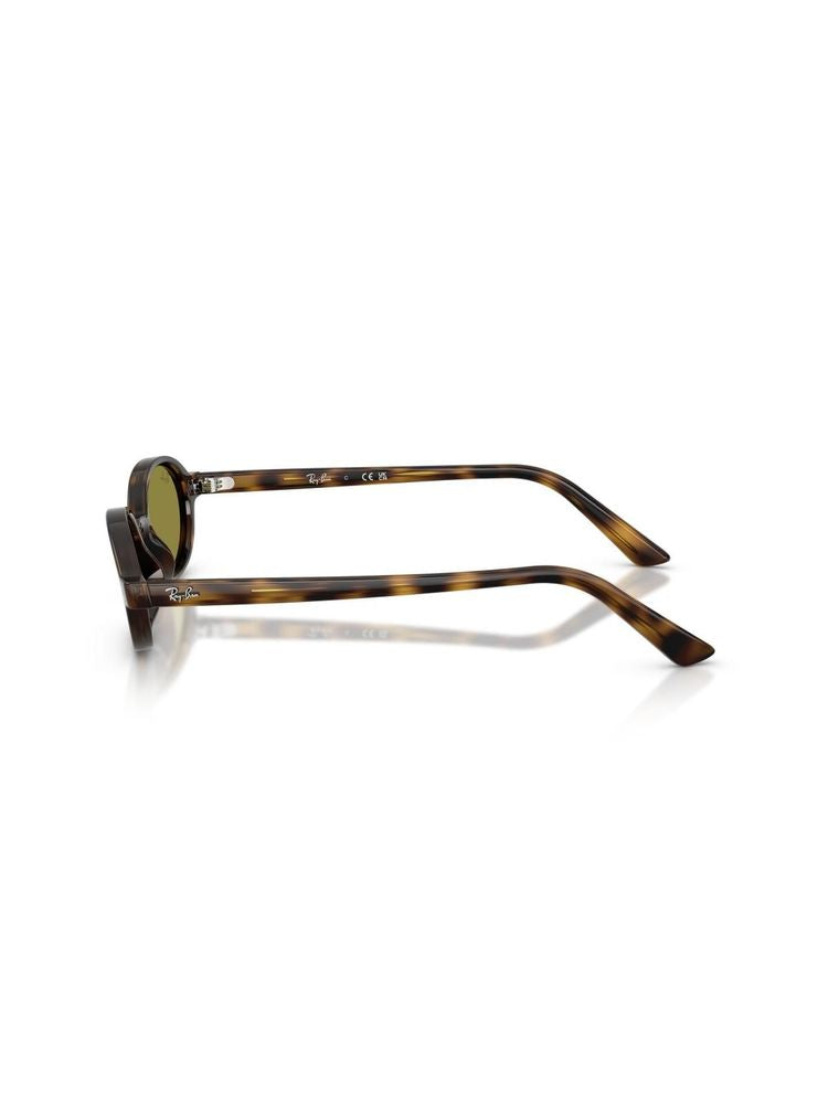 Ray-Ban 0RB4472 sunglasses in brown