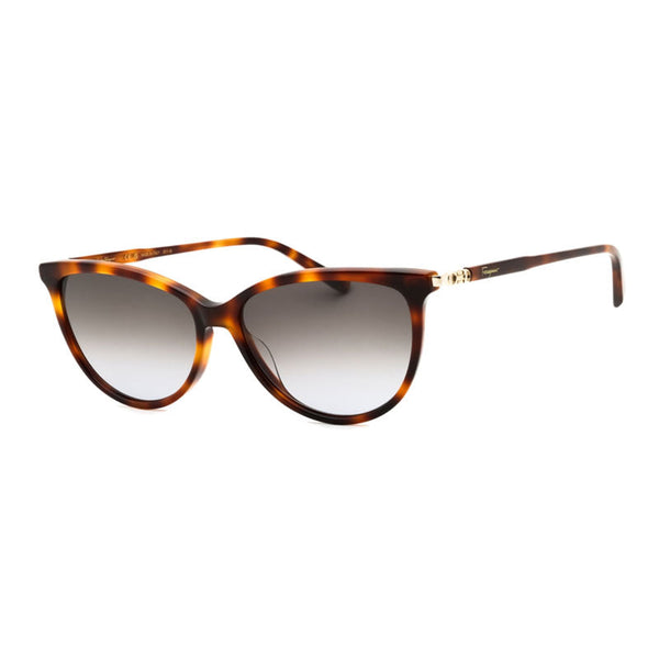 Ferragamo SF2870SCP Acetate frame sunglasses in tortoiseshell