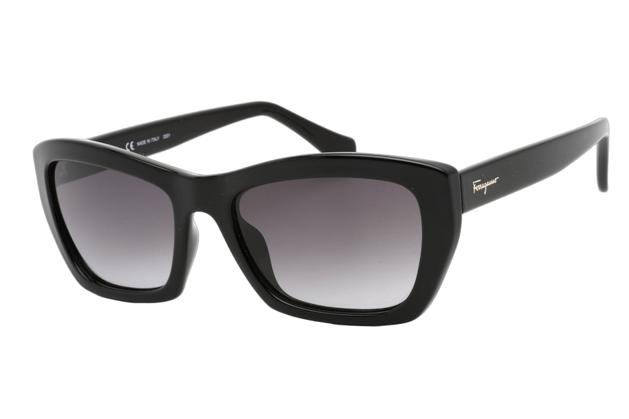 Ferragamo SF958S Injected propionate frame sunglasses in black