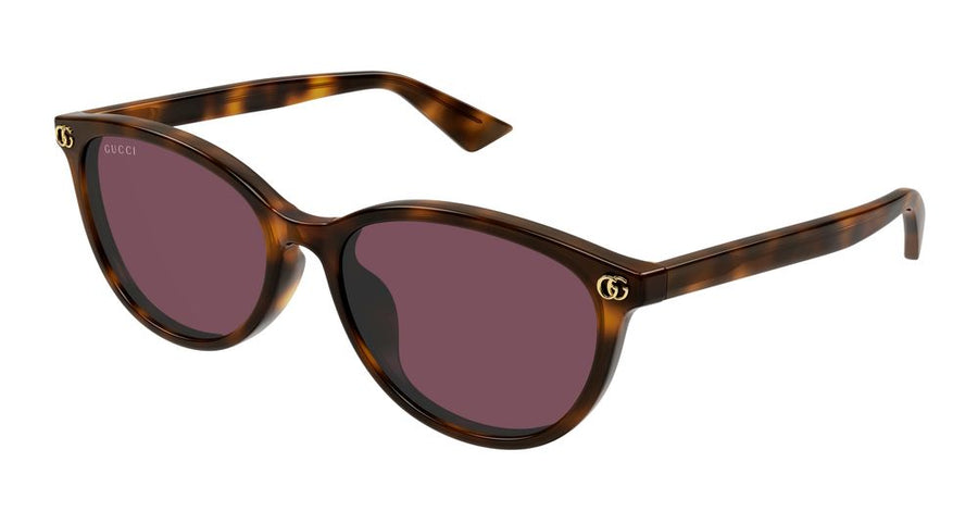 Sunglasses Gucci Gg1818sk 002 Havana Violet 56-17-145 Acetate