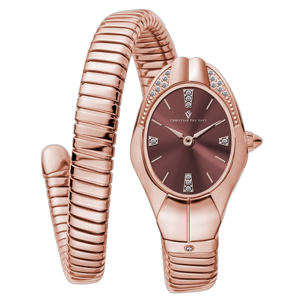 Christian Van Sant Stainless steel case watch in brown