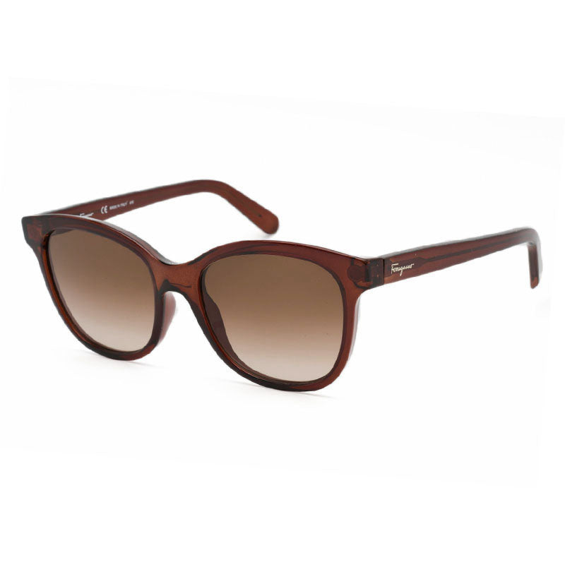Ferragamo SF834S210 sunglasses in brown