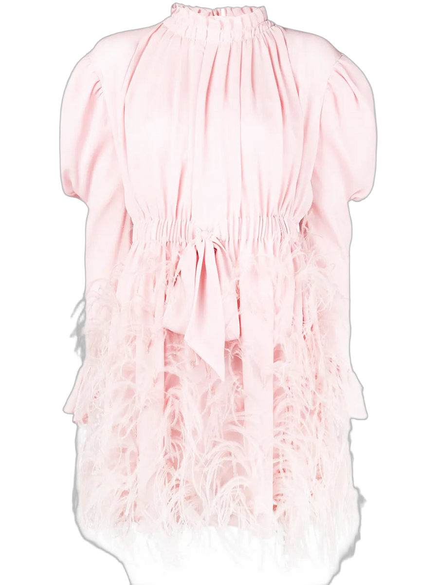 Valentino Silk and ostrich feather dress in pink