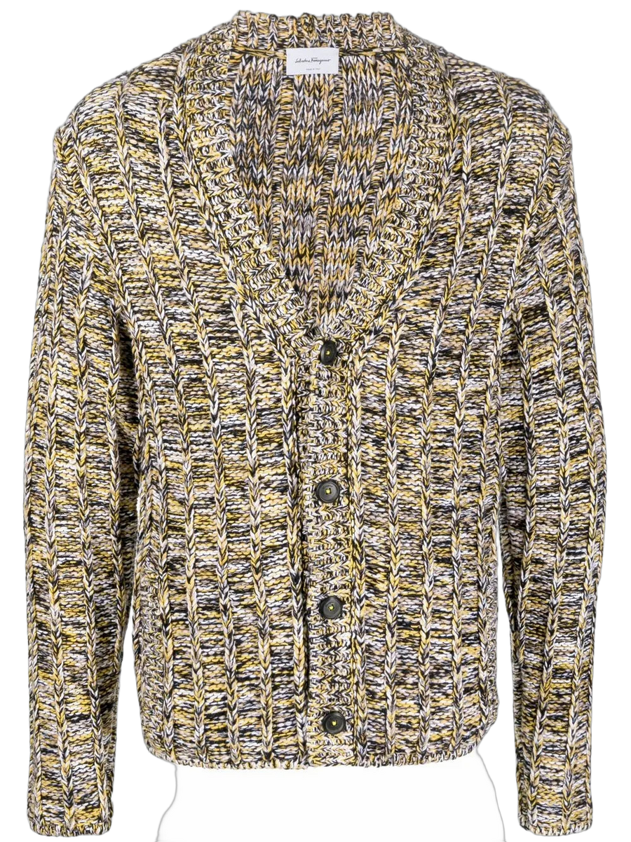 Ferragamo cardigan in multicolor