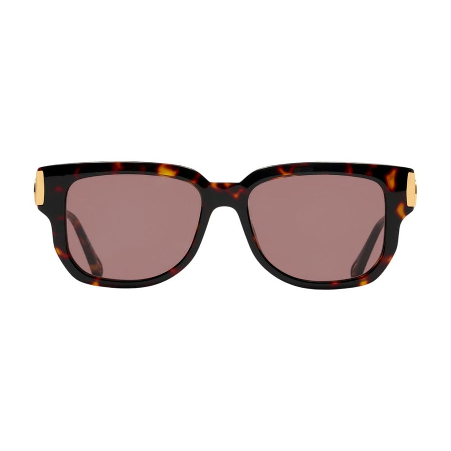 Chloé CH0351S-003 acetate sunglasses in brown