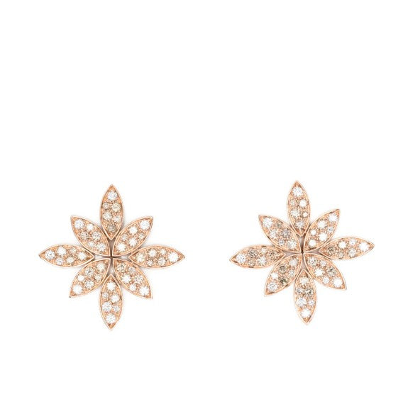 Pasquale Bruni 18kt Rose Gold earrings in rose gold
