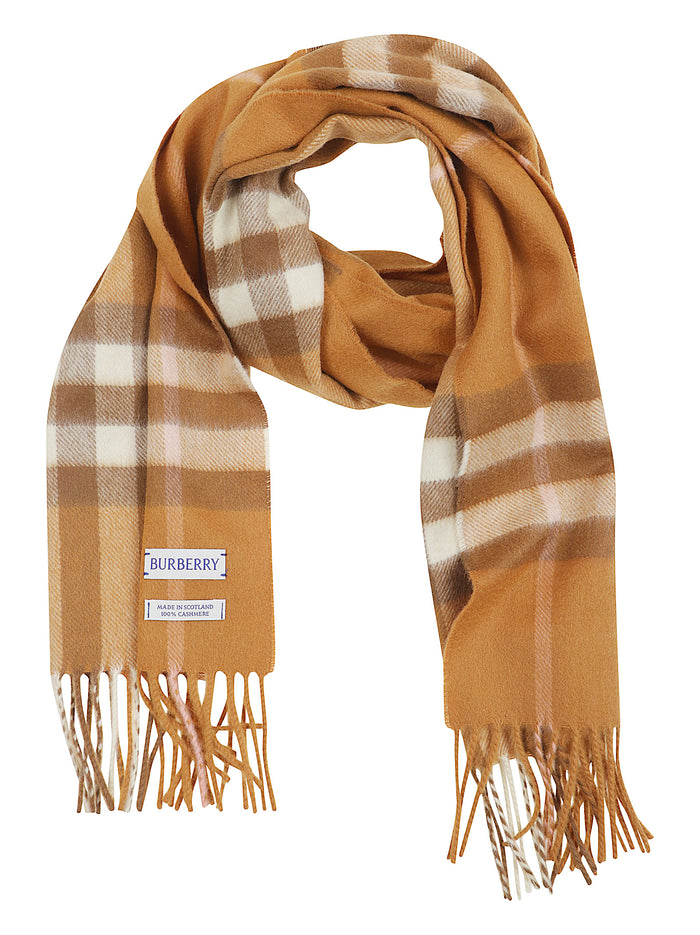 Scarves Brown Cashmere Sciarpa