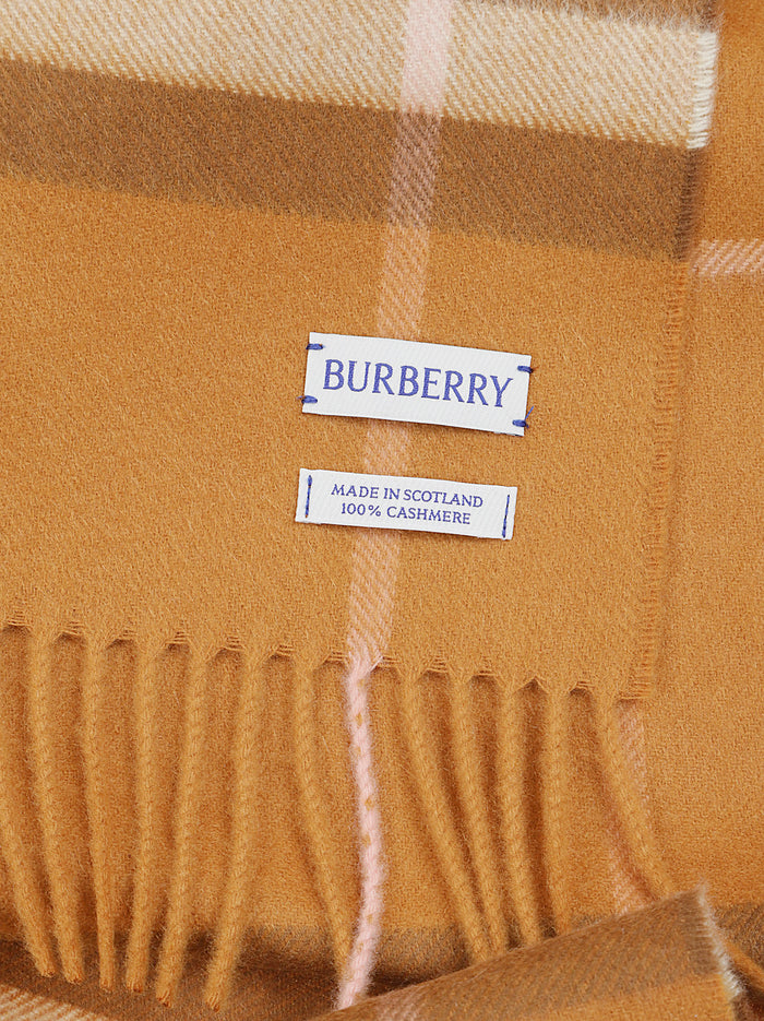 Scarves Brown Cashmere Sciarpa