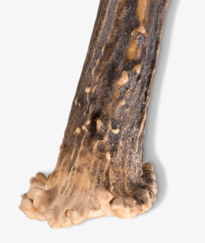 Bottle Opener Cedrata Neutral Openers