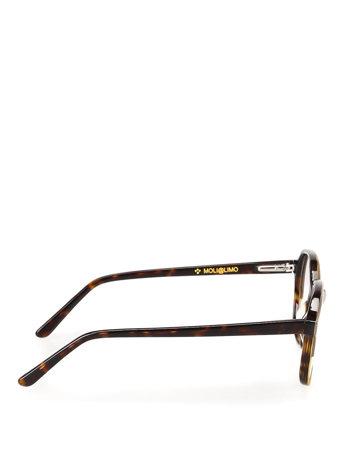104w3fp0a Multicolour Acetate | Celluloide Glasses