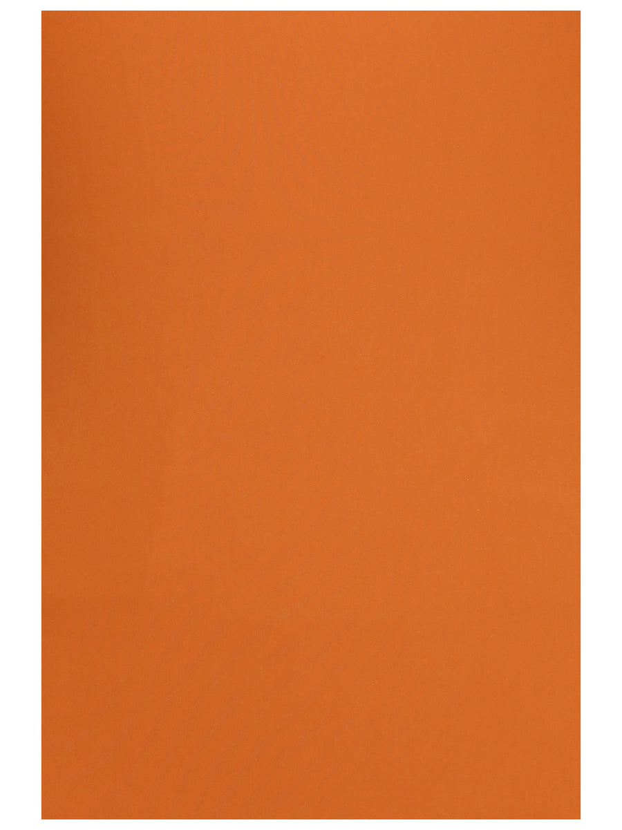 One-Piece Swimsuit Rust Polyamide Swimwear