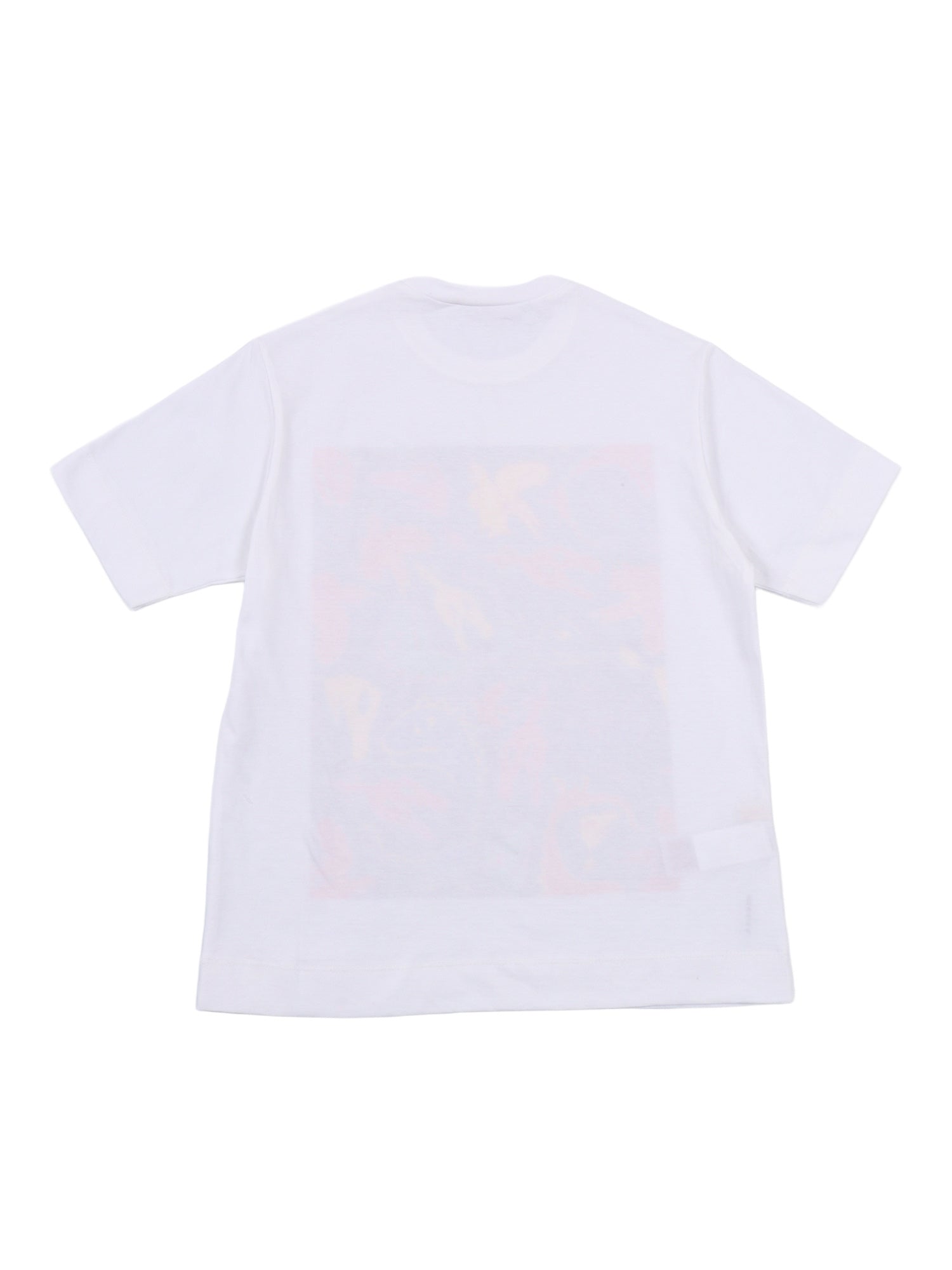T-shirts White Cotton Short Sleeves T-shirt