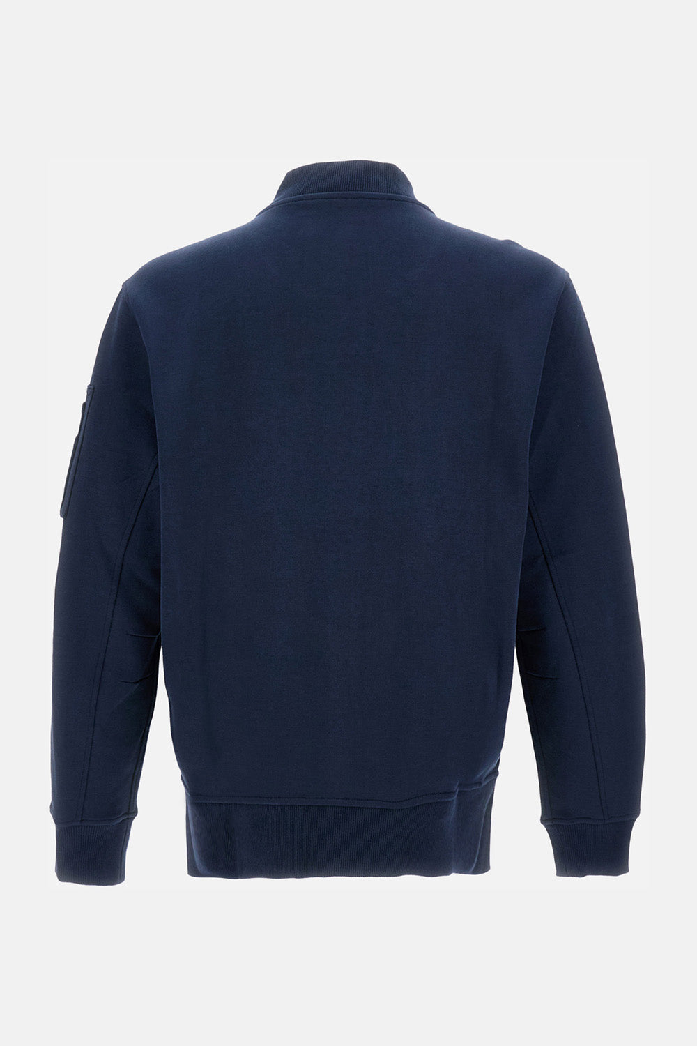 Polo Ralph Lauren Sweaters Blue Co Pl