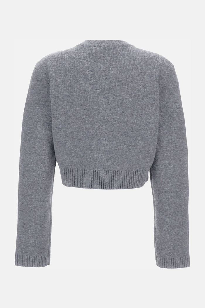Self-Portrait Sweaters Grey Wo Pa Ea