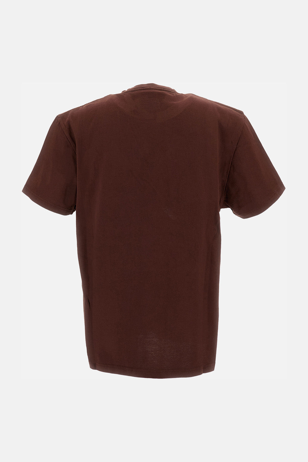 Alexander Mcqueen T-Shirts And Polos Brown