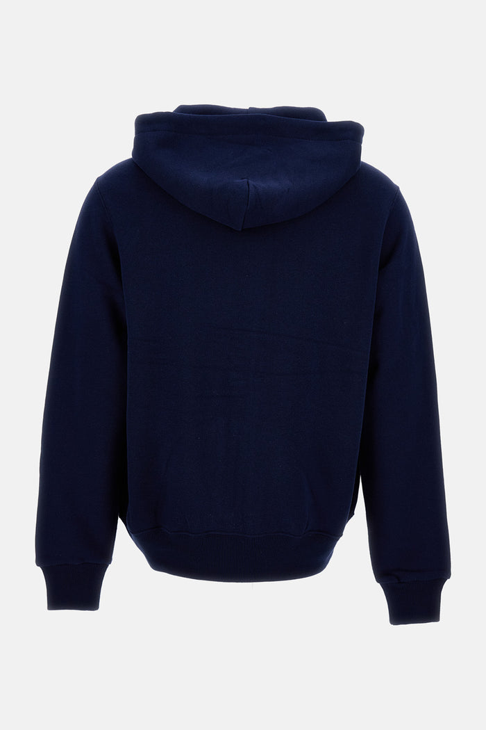 Polo Ralph Lauren Sweaters Blue Co Pl