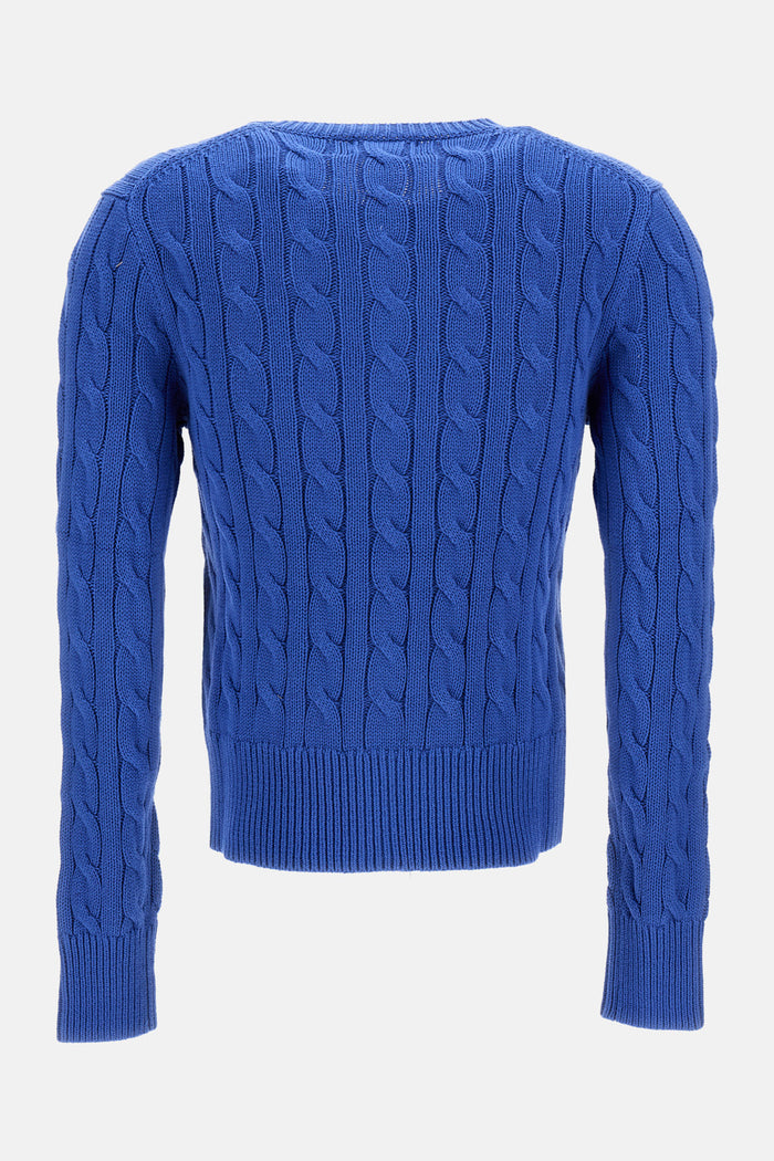 Polo Ralph Lauren Sweaters Blue