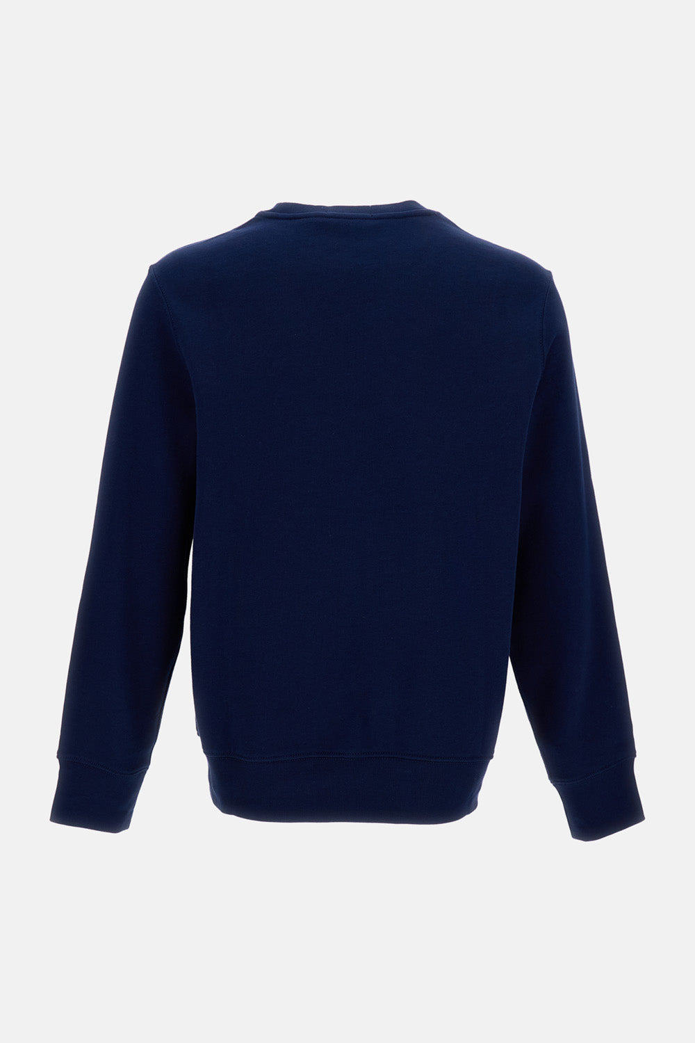 Polo Ralph Lauren Sweaters Blue Co Pl
