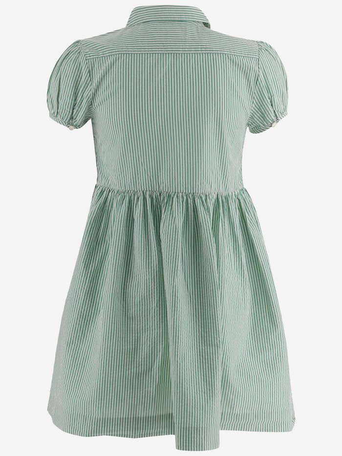 Polo Ralph Lauren Dresses Green Cotone