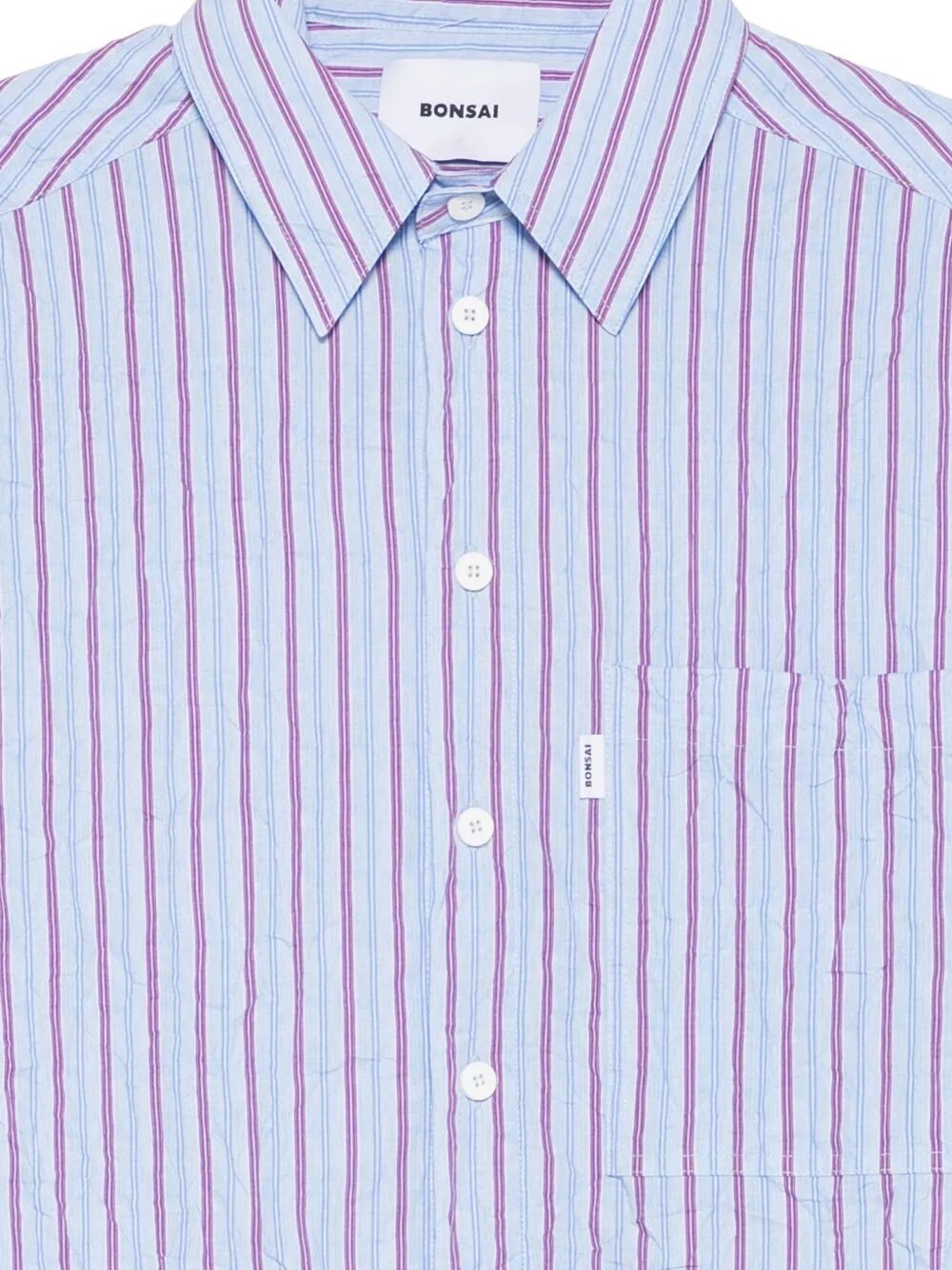Botton Down Shirt Grey Pl Co
