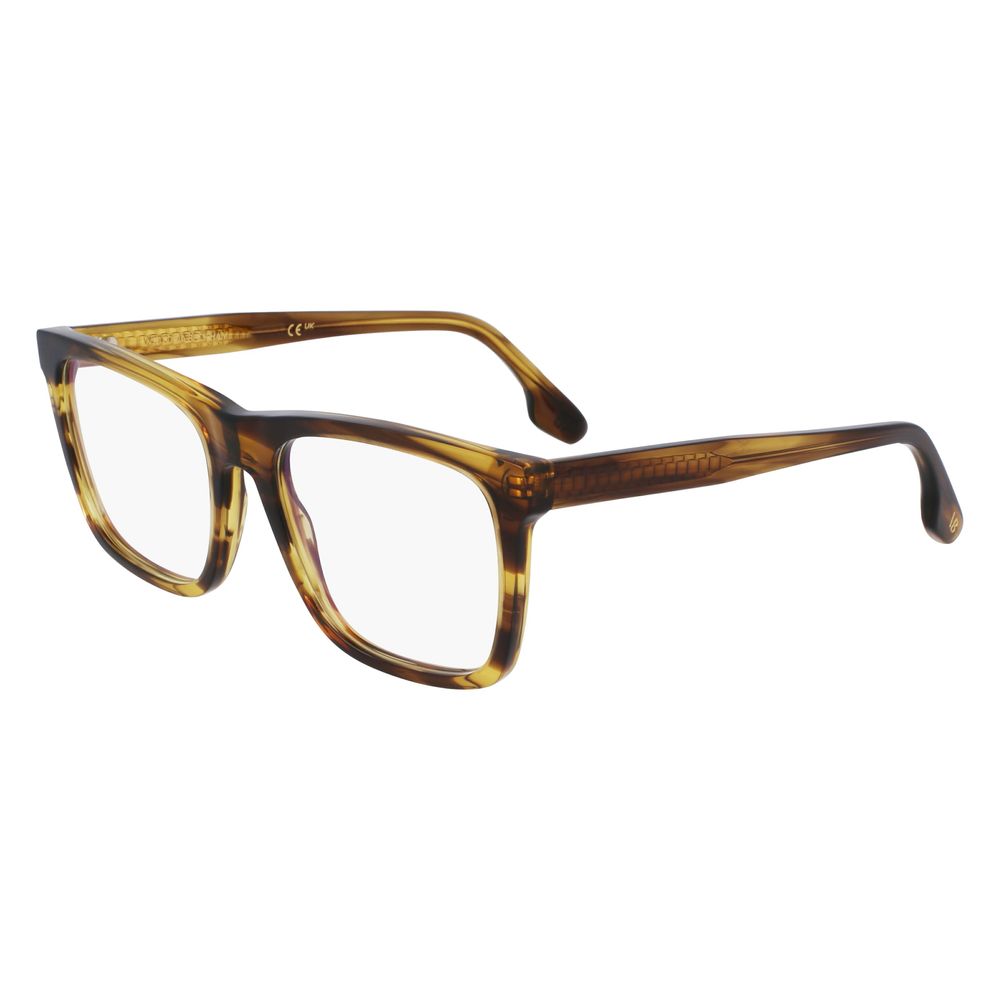 Brown Acetate Glasses (frames) Accessory