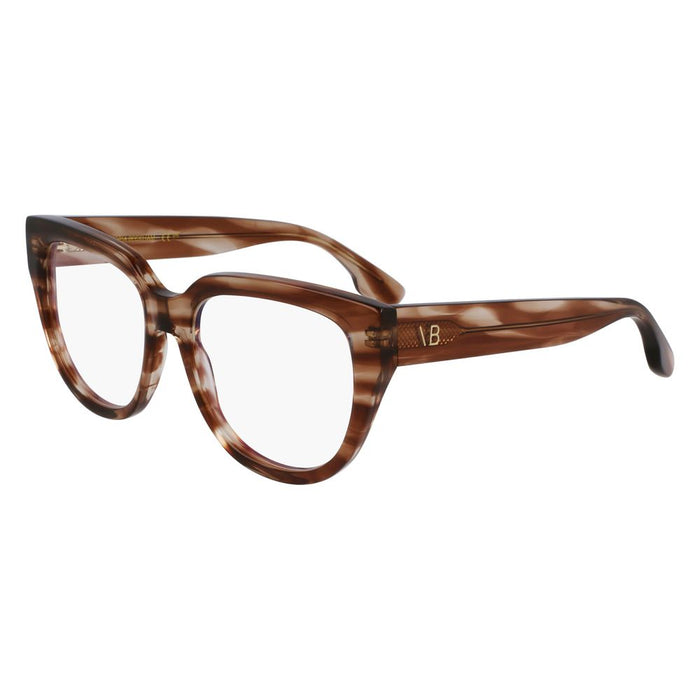 Brown Acetate Glasses (frames) Accessory