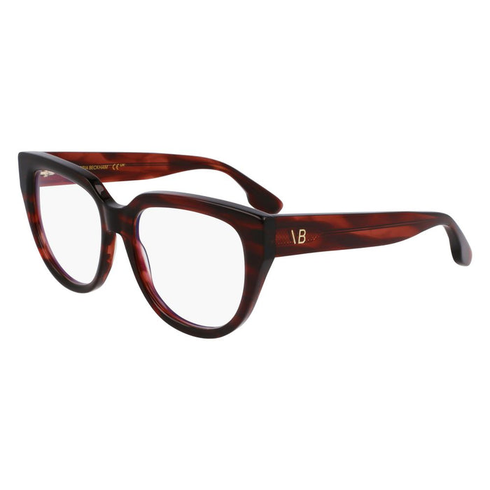 Multicolor Acetate Glasses (frames) Accessory
