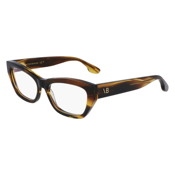 Brown Acetate Glasses (frames) Accessory