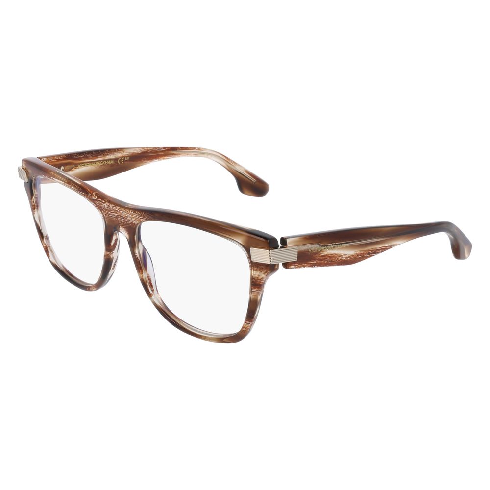 Brown Acetate Glasses (frames) Accessory