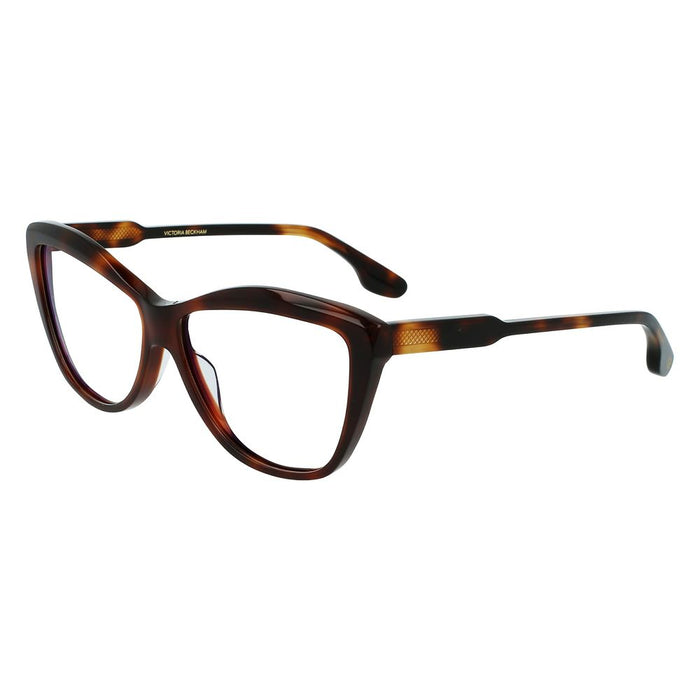 Brown Acetate Glasses (frames) Accessory