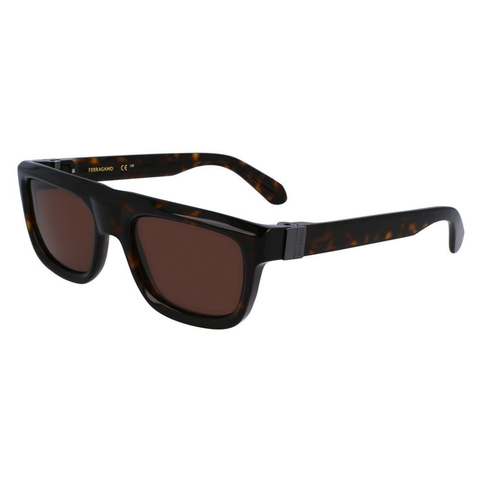 Ferragamo FESF2009S242AC Acetate sunglasses in brown