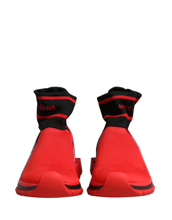 Dolce & Gabbana 5% Cotton sneaker in red