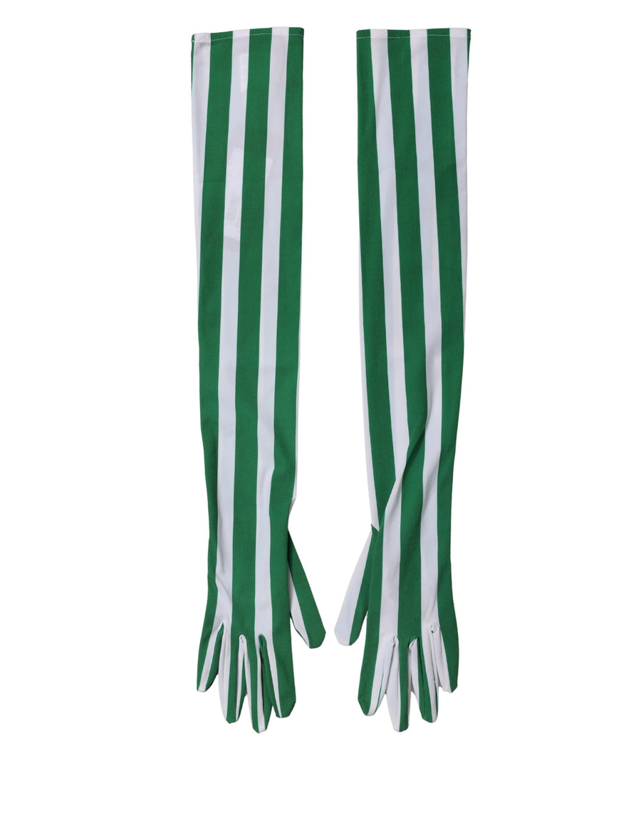 Dolce & Gabbana 72% Nylon gloves in green