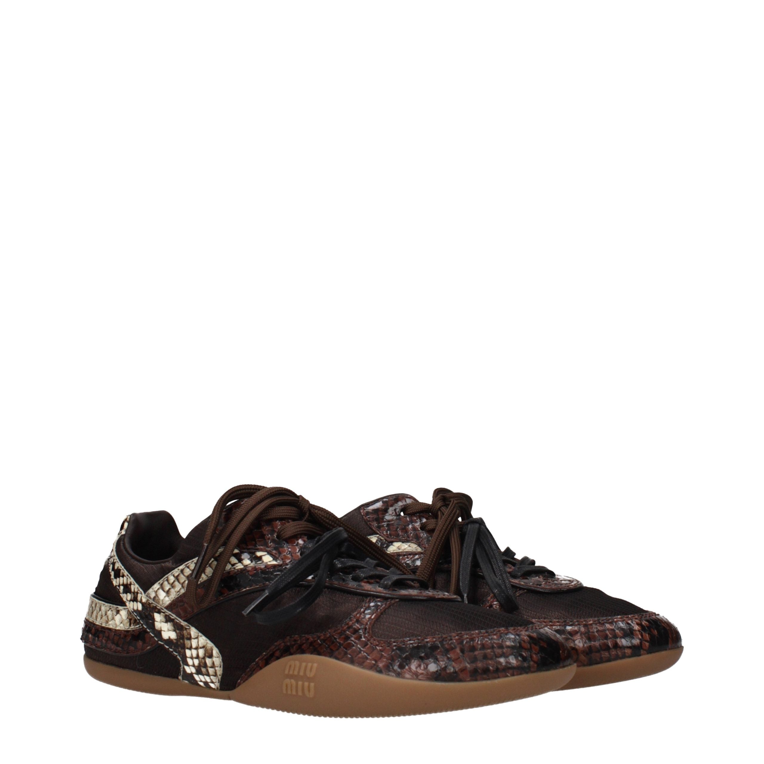 Miu Miu sneaker in brown — view 2