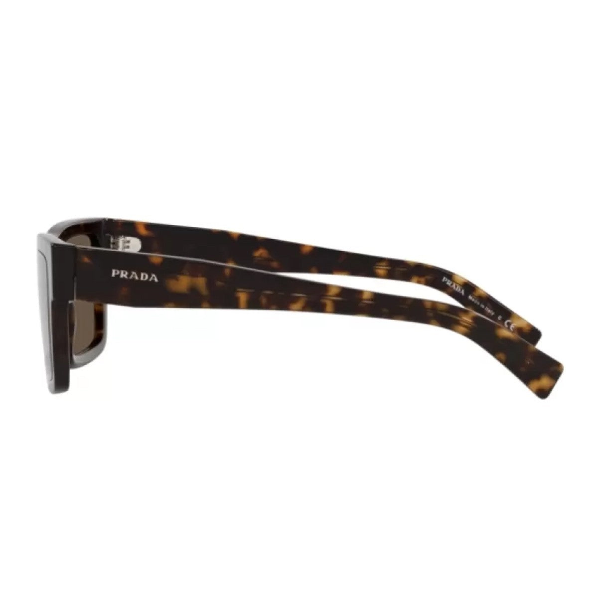 PR 19WS Marrone Celluloid Occhiali Sole
