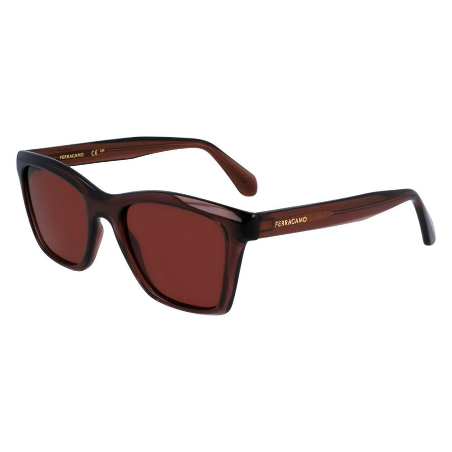 Ferragamo FESF2001S232AC Injected resin sunglasses in brown