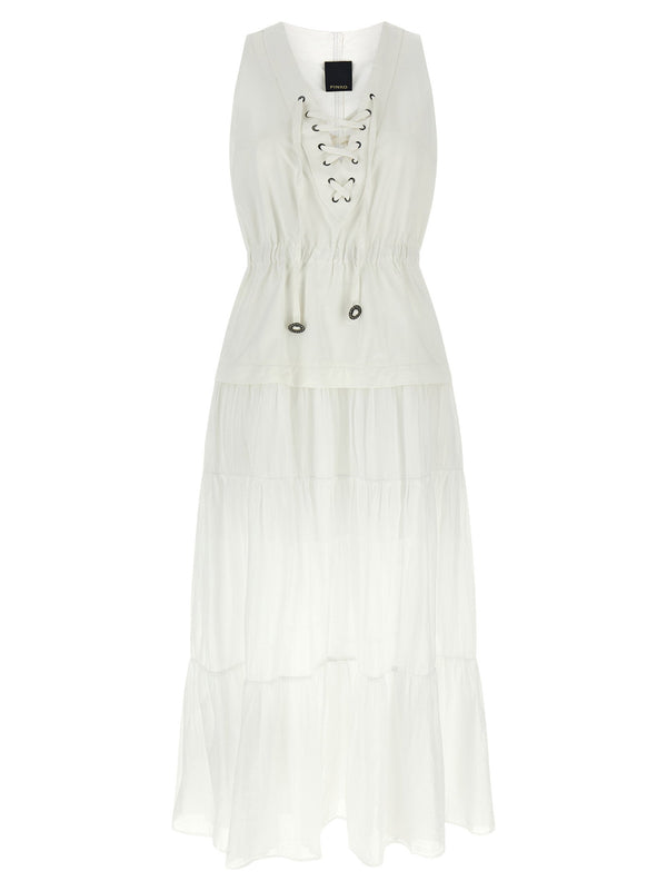 Pinko Casarsa Dress
