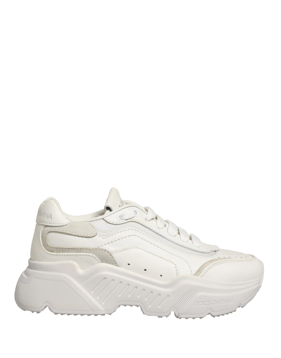 Dolce & Gabbana 87% Calf sneaker in white