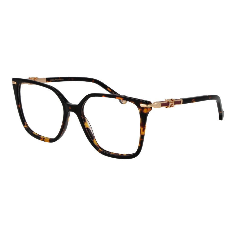 Brown Acetate Glasses (frames) Accessory