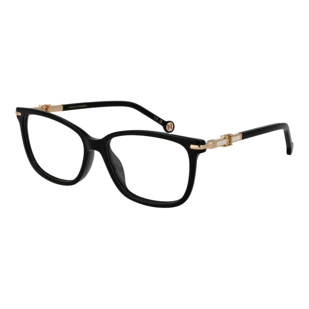 Black Acetate Glasses (frames) Accessory
