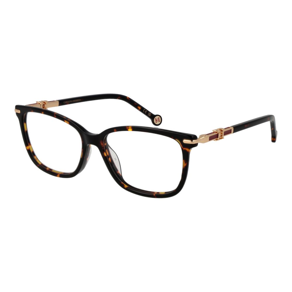 Brown Acetate Glasses (frames) Accessory