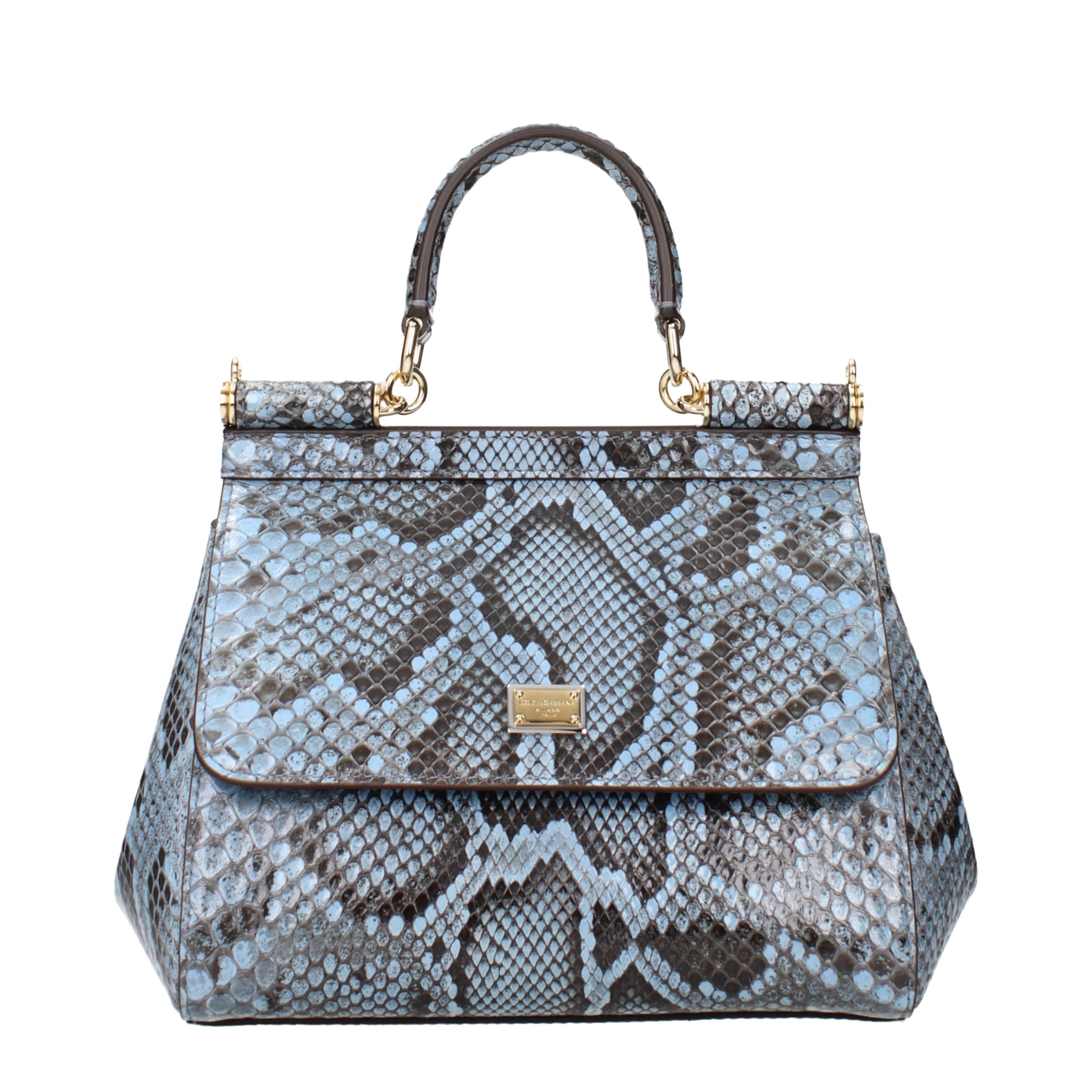 Light Blue Skin Handbag Bag